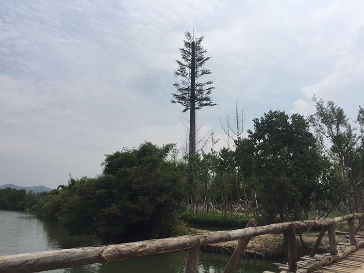 台州30米仿真树施工完成