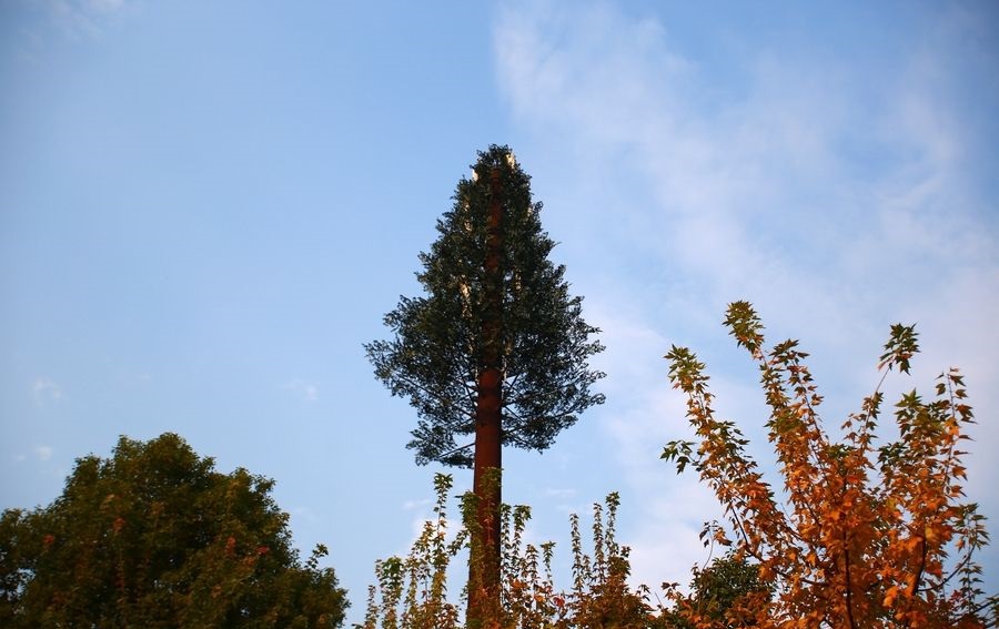 生产基地